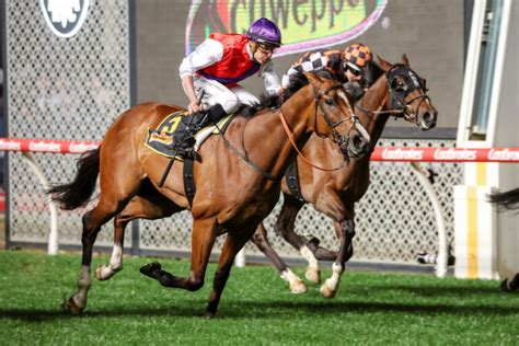 jra cup betting